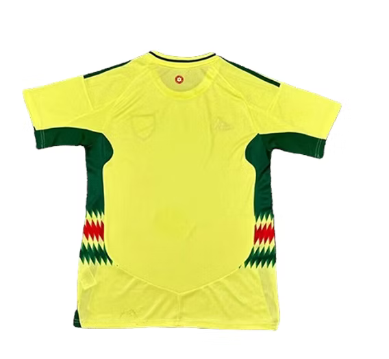 Wales Away Shirt 2024 - Retro Shirt Stories