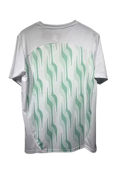 Palmeiras Training Shirt 2025 - Retro Shirt Stories