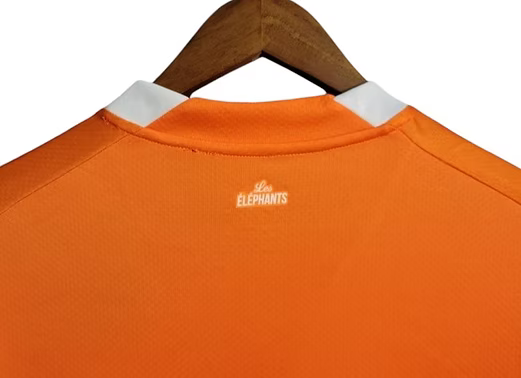 Ivory Coast Home Shirt 2022 - Retro Shirt Stories