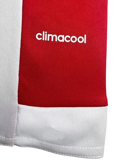 Retro Southampton Home Shirt 2015/2016 - Retro Shirt Stories