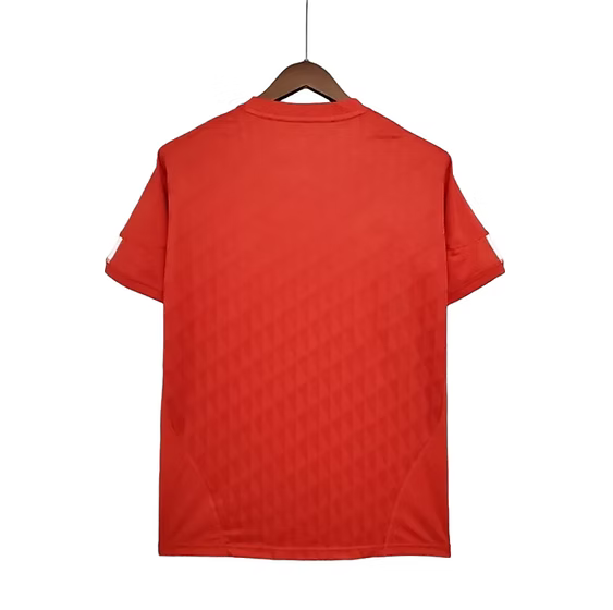 Retro Liverpool Home Shirt 2010/2011 - Retro Shirt Stories