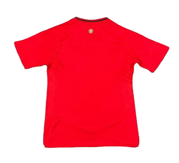 Wales Home Shirt 2024 - Retro Shirt Stories