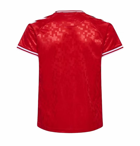 Denmark Home Shirt 2024 - Retro Shirt Stories