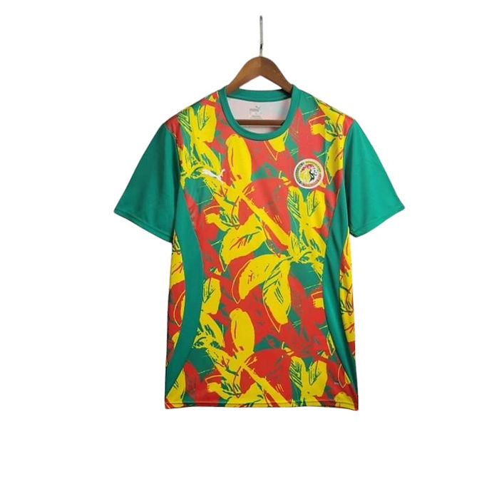 Senegal Pre Match Shirt 2024 - Retro Shirt Stories