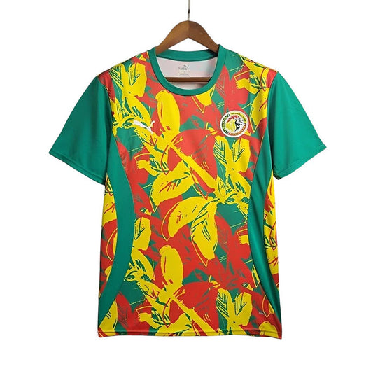 Senegal Pre Match Shirt 2024 - Retro Shirt Stories